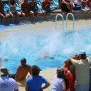 img_6918.jpg