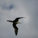 img_7679.jpg