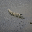 img_7834.jpg