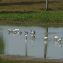img_7869.jpg