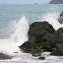 img_7914.jpg